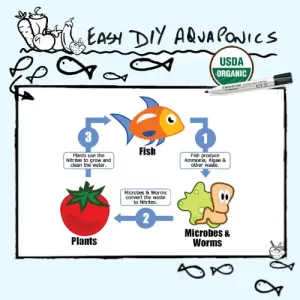 Easy DIY Aquaponics