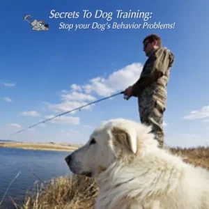 Secrets To Dog Training